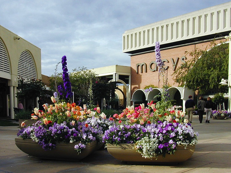 Stanford Shopping Center
